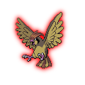 Dark Pidgeotto